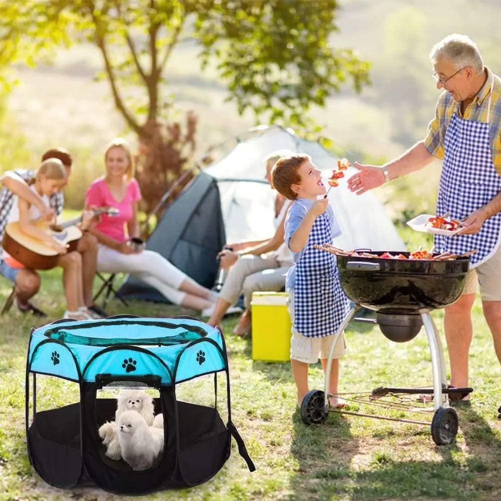 Portable Foldable Cat Tent House