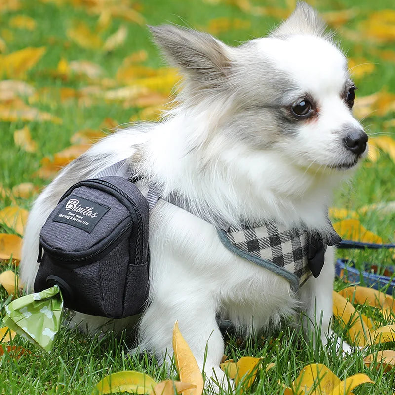 Portable Multi-function Dog Training Bag