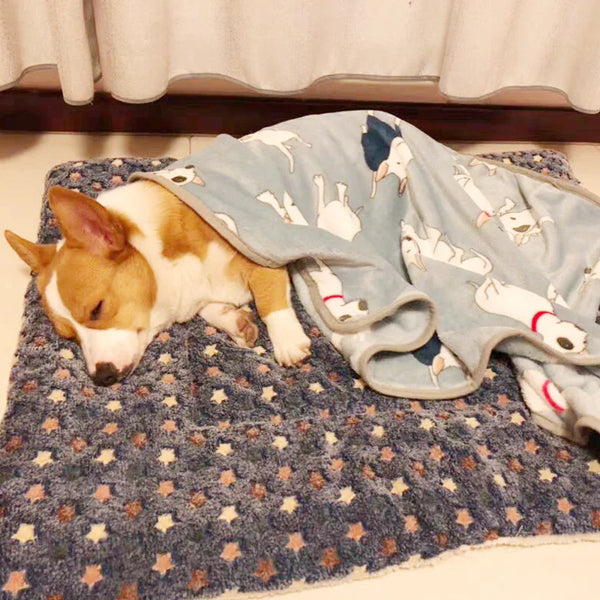 Flannel Thickened Pet Sleeping Mat Warm Pet Blanket